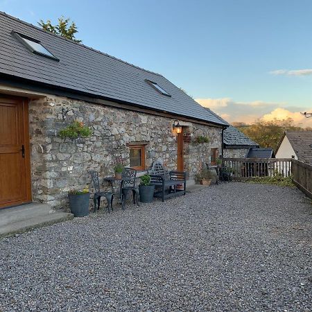 The Reindeer Retreat Buttercup Twin Hotel Kidwelly Екстериор снимка