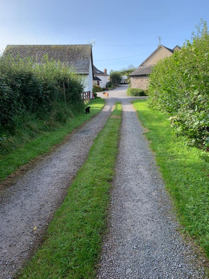 The Reindeer Retreat Buttercup Twin Hotel Kidwelly Екстериор снимка
