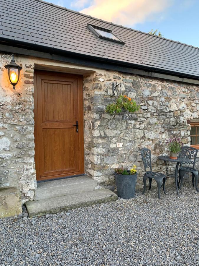 The Reindeer Retreat Buttercup Twin Hotel Kidwelly Екстериор снимка